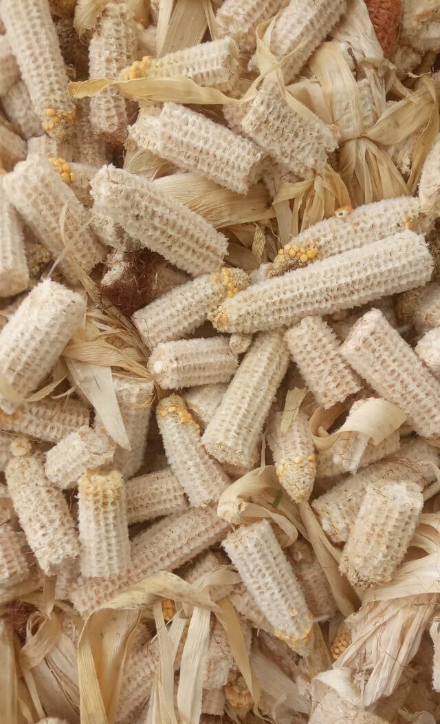 Lõi ngô ép khối